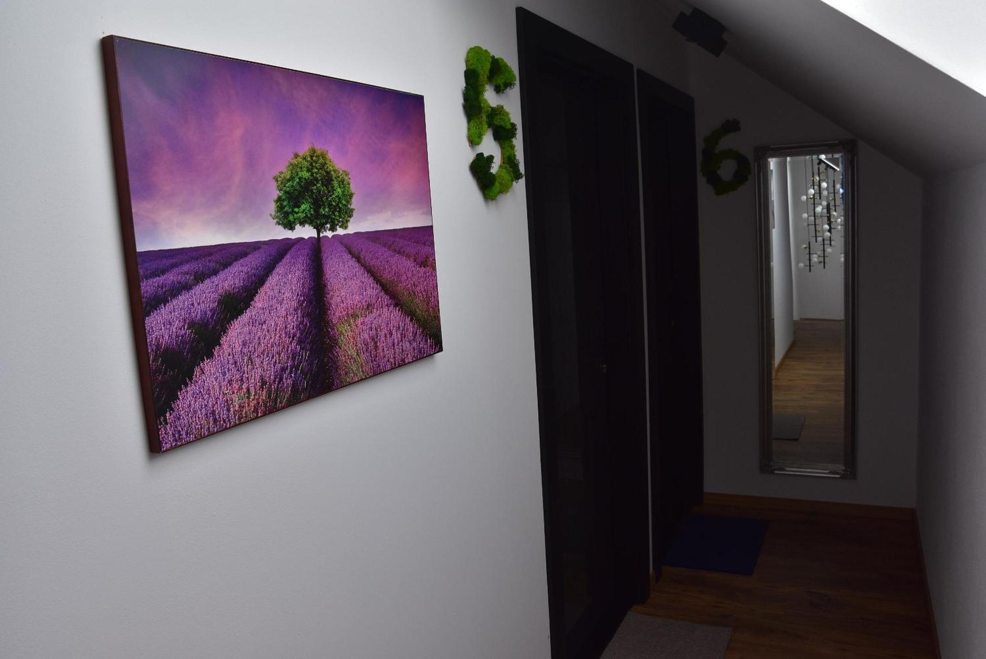 ולקה לומניקה Apartmany Zakovce & Spa מראה חיצוני תמונה